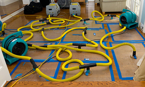 Professional Storm Water Damage Restoration technician working in Bailey, CO
